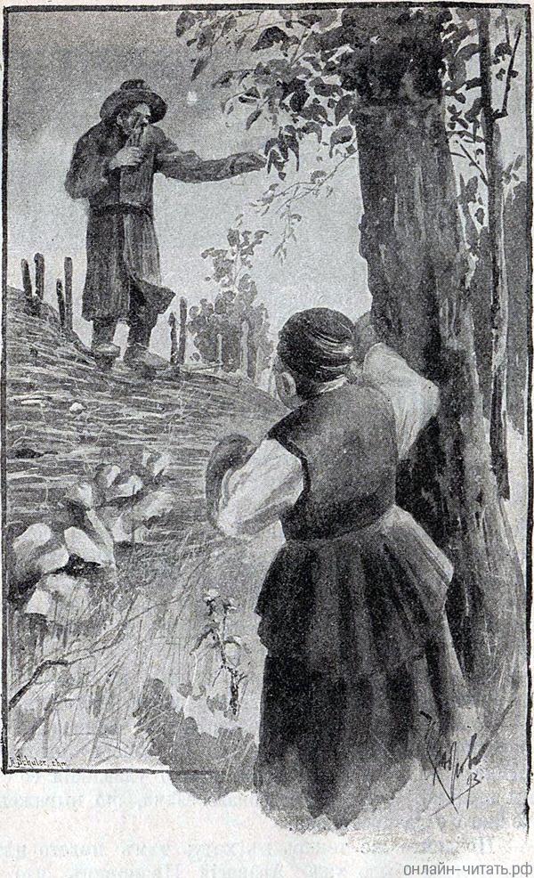           ,            ,    ,  ,    ...    . .   .   ()  , 1893 .