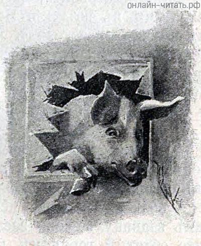   VII-   . .   .   ()  , 1893 .