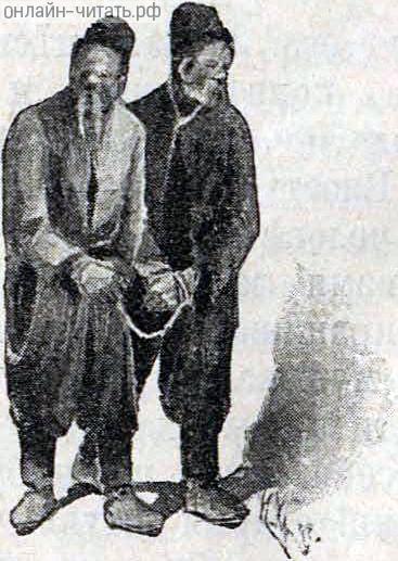   XI-   . .   .   ()  , 1893 .