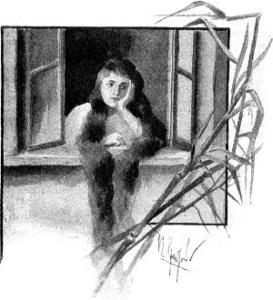   ,     ,      , ,    .    . .   ,  .   ()  , 1894 .