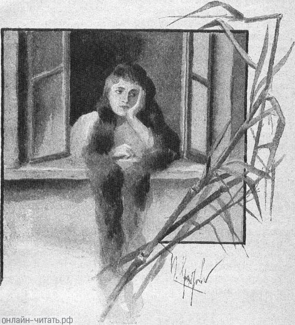   ,     ,      , ,    .    . .   ,  .   ()  , 1894 .