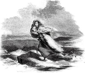  VII.  .     -   .  , 1853