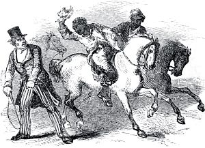   VII.     -   .  , 1853