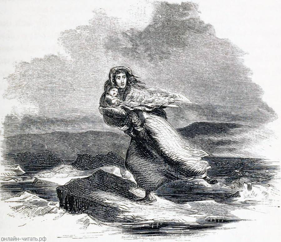  VII.  .     -   .  , 1853