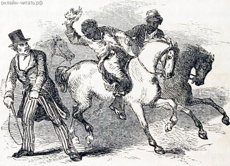   VII.     -   .  , 1853