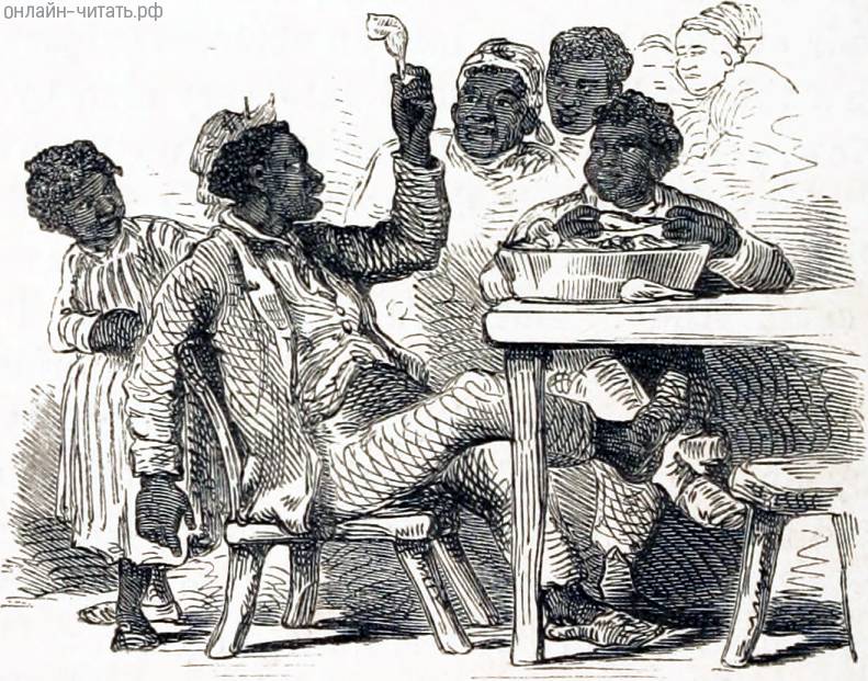   VIII.     -   .  , 1853