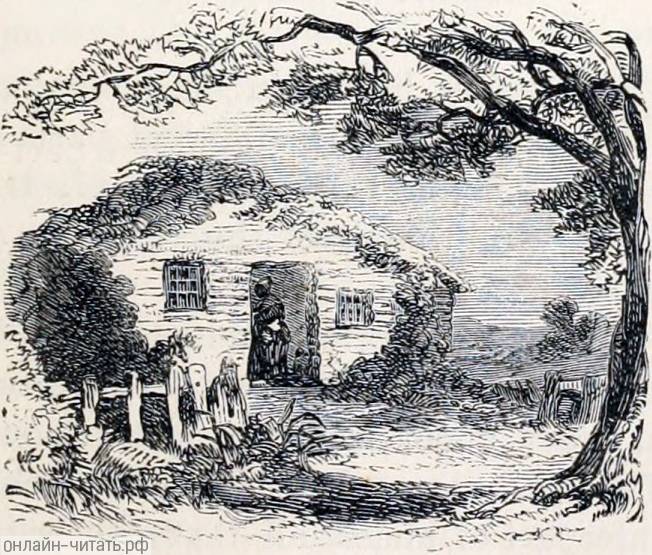  XLIV.     -   .  , 1853