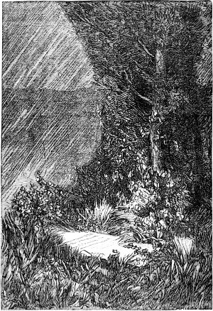     .    (1824-1877)