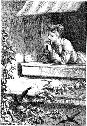                 .         ,           .      .    (1824-1877)