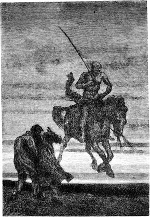   ,   .    ,  ,     .      .    (1824-1877)