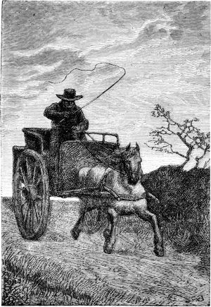      ,  ,    -    .      .    (1824-1877)
