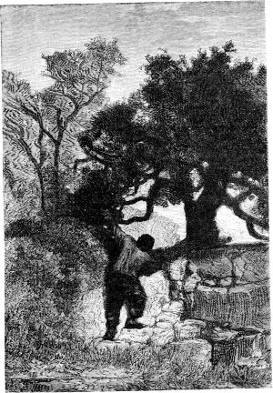    ,   ,  ,   ,   ,      .      .    (1824-1877)