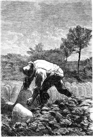 ,   ,     ,  ,  ,     ,   -     .      .    (1824-1877)