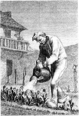  ,    ,      .      .   , ,                  ,    .      .    (1824-1877)