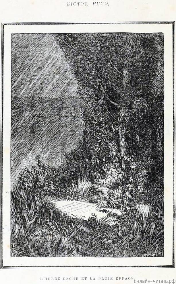      .    (1824-1877)