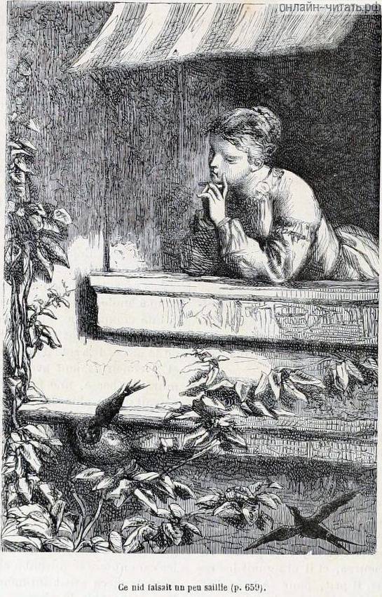                .         ,           .      .    (1824-1877)