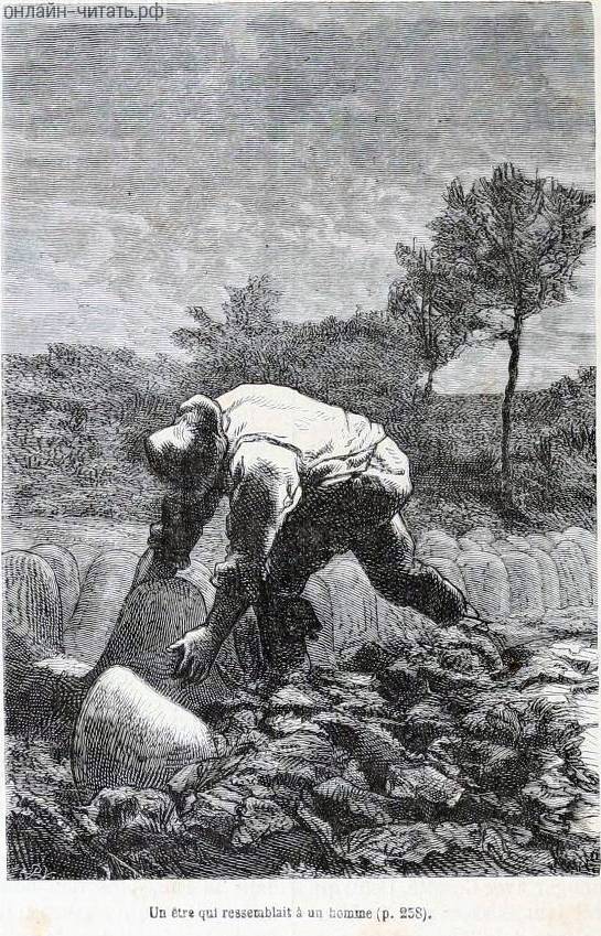 ,   ,     ,  ,  ,     ,   -     .      .    (1824-1877)
