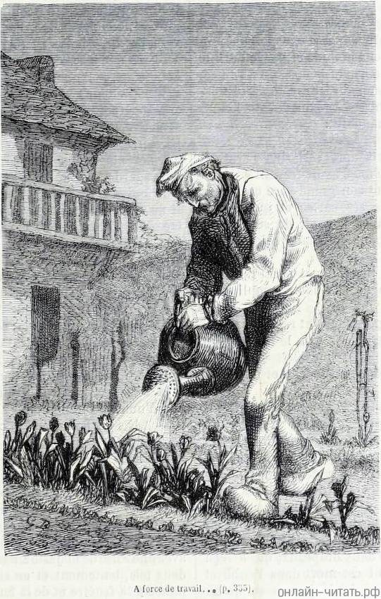  ,    ,      .      .   , ,                  ,    .      .    (1824-1877)