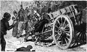 VIII.  .       .  1890 .