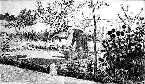 VI.    .       .  1890 .