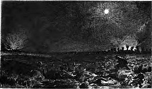 XIX.   .       .  1890 .