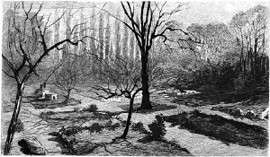 VII.  .       .  1890 .