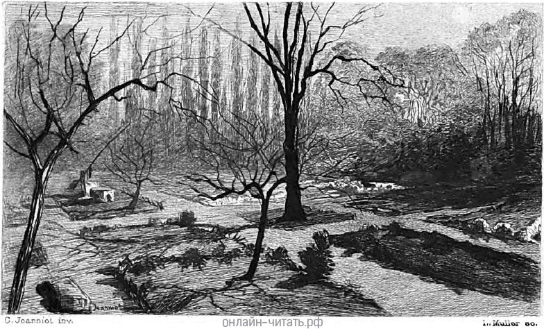 VII.  .       .  1890 .