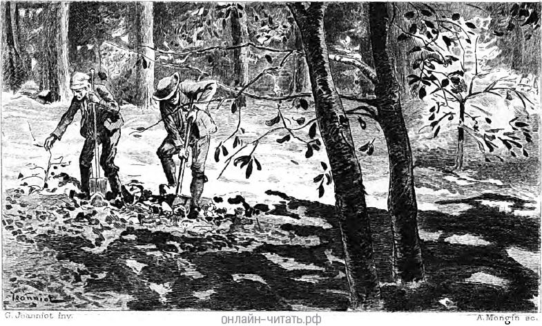 VIII.  .       .  1890 .