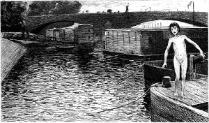 I. Parvulus.       .  1890 .