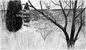 VI.  ,   .       .  1890 .