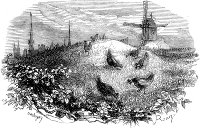   .  . I.  (  ).  1844 .