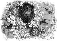  .  . V.     (  ).  1844 .