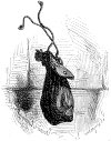   .  . II.  ! (  ).  1844 .