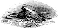   .  . III. Besos para colpes (  ).  1844 .