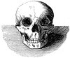   .  . III. Immanis pecoris custos  immanior ipse (  ).  1844 .
