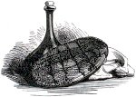   .  . III.     (  ).  1844 .