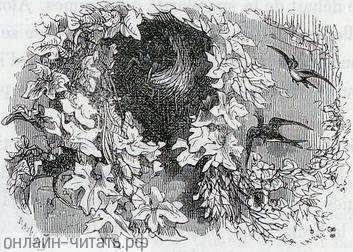   .  . V.     (  ).  1844 .