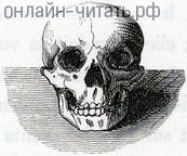   .  . III. Immanis pecoris custos  immanior ipse (  ).  1844 .