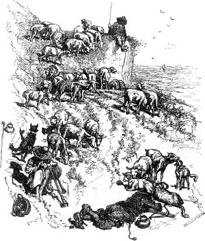           ,  .      .  1886 .