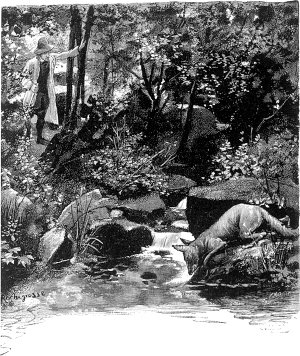 ,        ,    , ,       ,             ,     -.      ,  .      .  1886 .