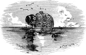                 ,  .      .  1886 .