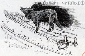   ,    .    ,     ,   ,     .      ,  .      .  1886 .