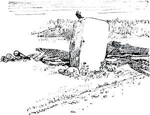      ,     .            , 1931