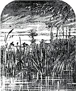   .      ,     . , 1889