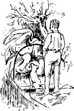   ,         .          ,    . ,                  (   )    . ,   ,          .      ,     . , 1889