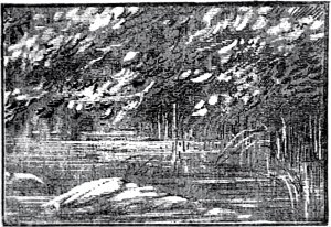   .      ,     . , 1889