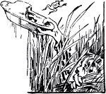   .      ,     . , 1889