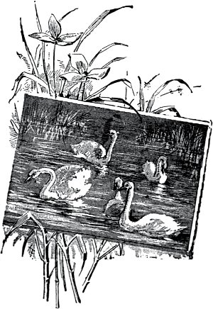 ,       , ,       ,     ...      ,     . , 1889