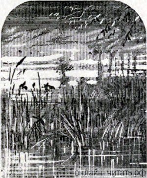   .      ,     . , 1889