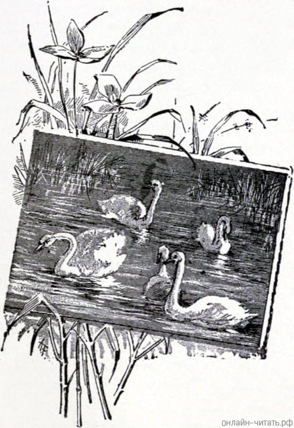 ,       , ,       ,     ...      ,     . , 1889